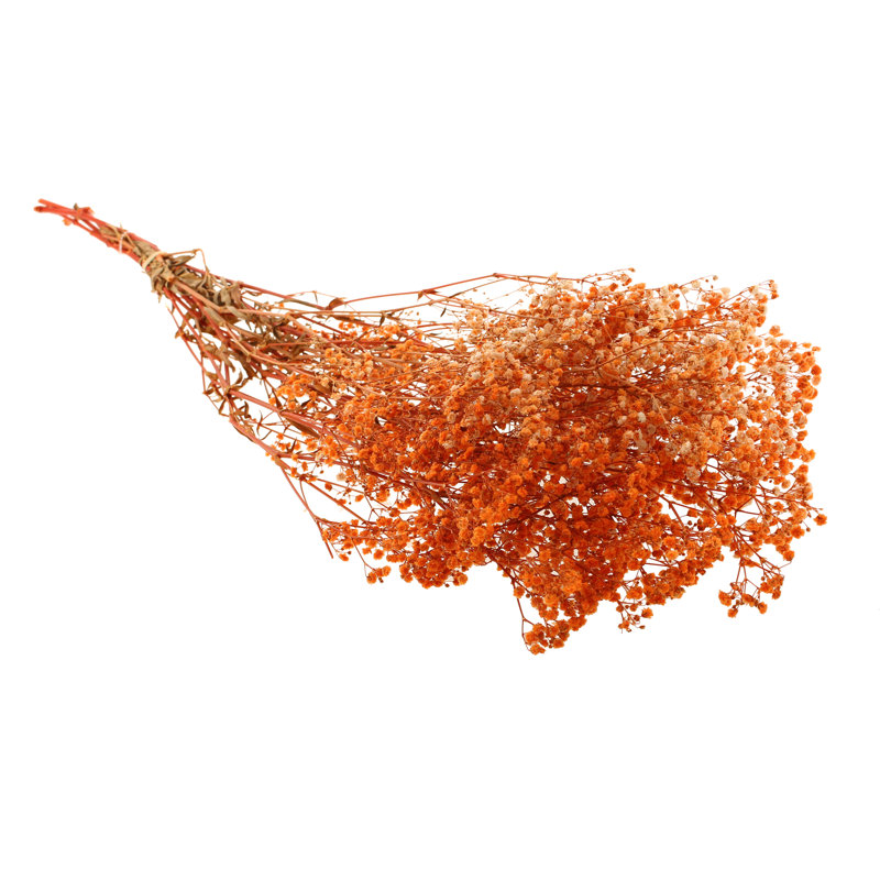 Preserved Baby's Breath Arrangement, Coral