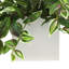 Karas Faux Tradescantia plante dans un vase en céramique-222524196-15153441