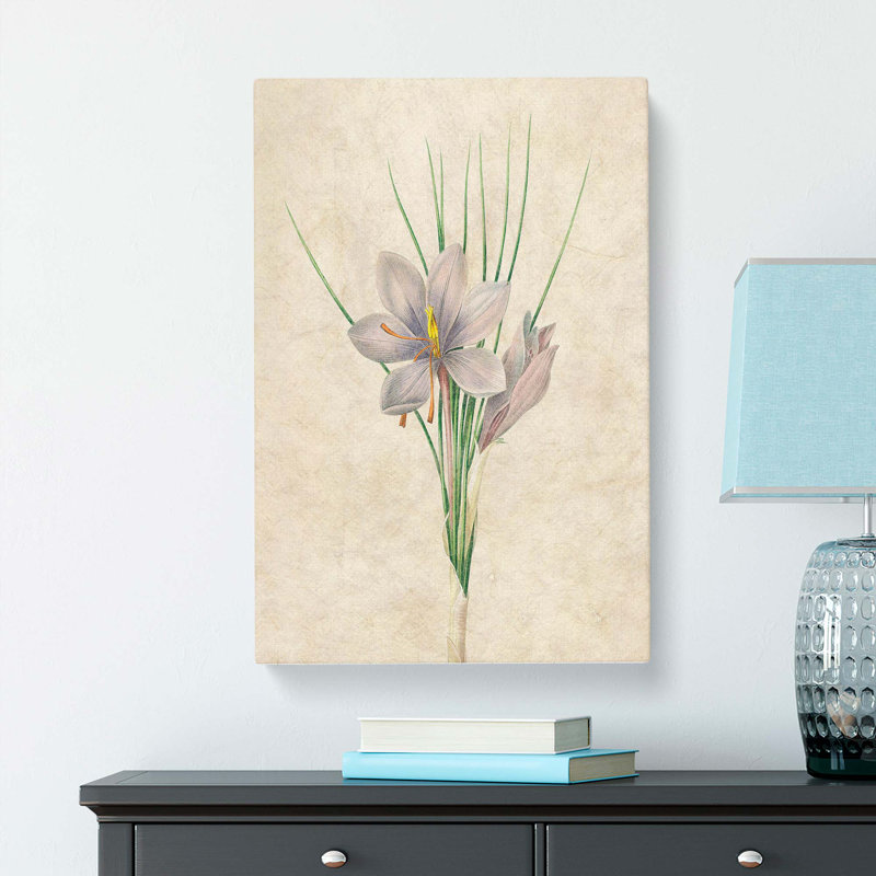 Autumn Crocus Flowers by Pierre-Joseph Redoute - Wrapped Canvas Painting Pint - Wrapped Canvas, 76cm H x 50cm W x 3cm D