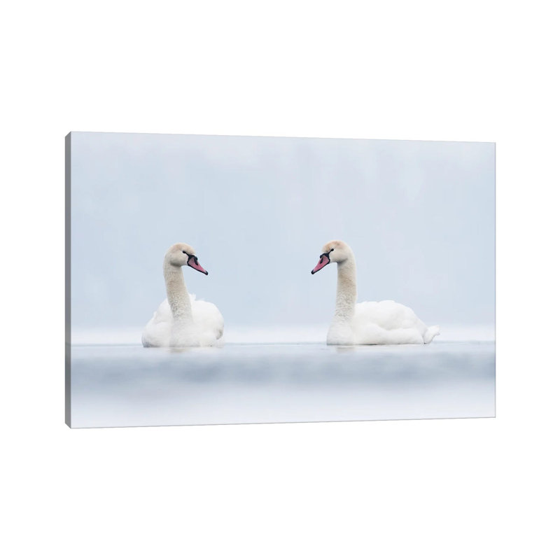 Swans In White by Mateusz Piesiak - Wrapped Canvas Print, 30.48 cm H x 45.72 cm W