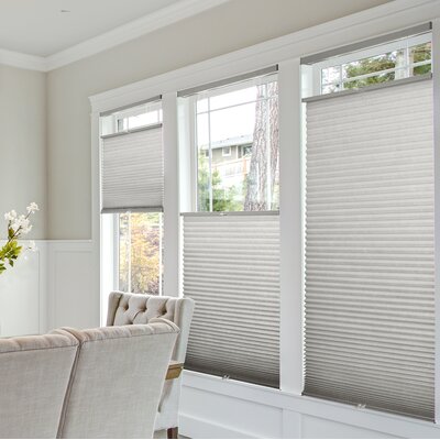 Latitude Run® Semi Sheer Cellular Shade & Reviews | Wayfair