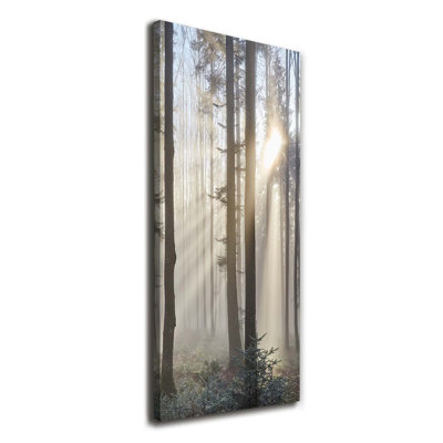 Fog In The Forest - Wrapped Canvas Print