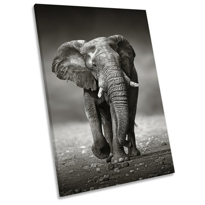 Elephant Wildlife Picture Black & White 1 Piece Wrapped Canvas Wall Art