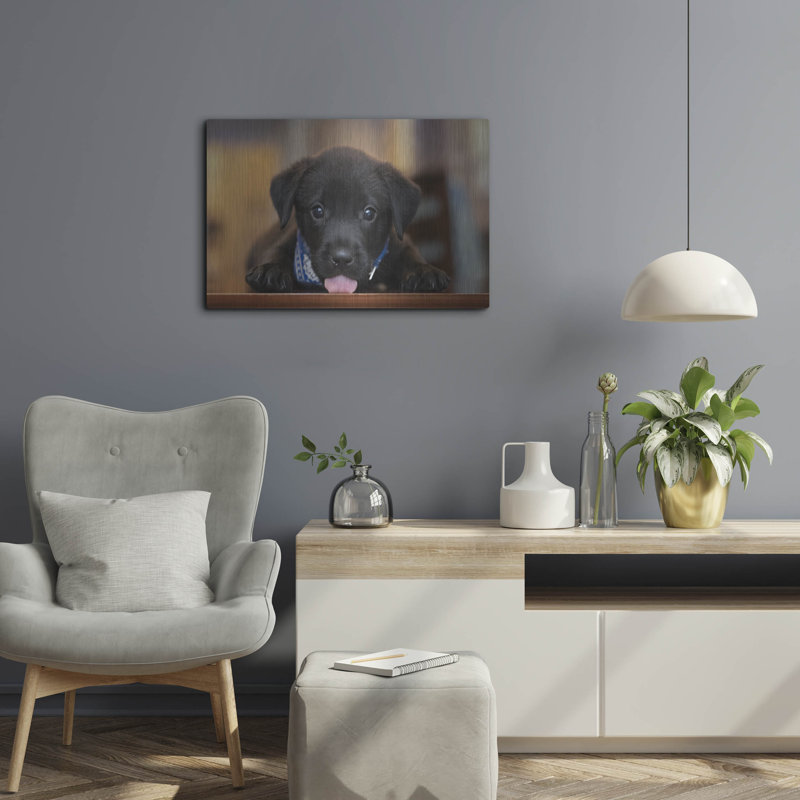 "Black Lab Pup 14" par Jonathan Ross, H 16 po x l 24 po