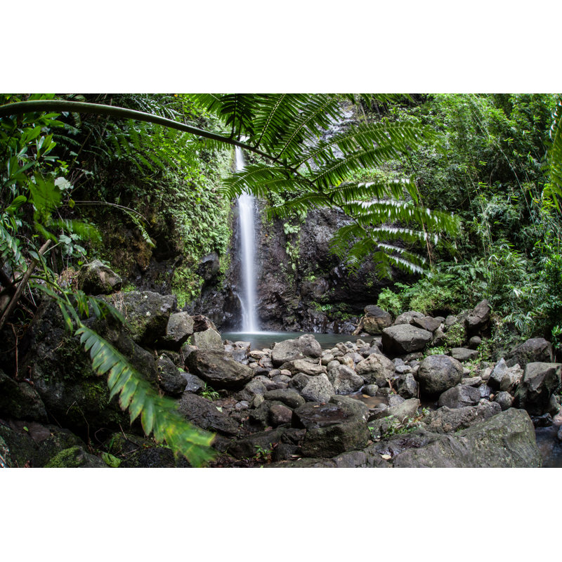 Tropical Waterfall by Velvetfish - Wrapped Canvas Print, 81cm H x 122cm W