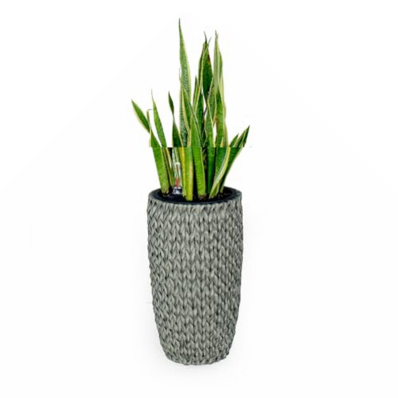 Pot à fleur Barmore, Gris, 9.4" H x 10.2" W x 10.2" D