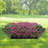 8.4'' H x 40'' W Black Metal Lawn Edging
