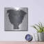 " Affenpinscher Bust " by Danny Gordon-579330294