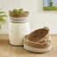 Seagrass Handmade Seagrass Decorative Basket Set
