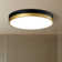 Hopeland Acrylic LED Flush Mount