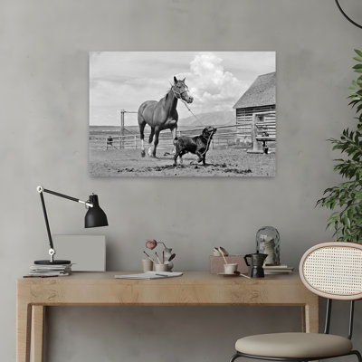 1950S 1960S Black Dog Leading Horse By Holding Rope Halter In His Mouth Classic Retro Vintage Dog Horse Animal Landscape Art
