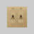 Toggle Switches Double Light Switch with Logo-104832878