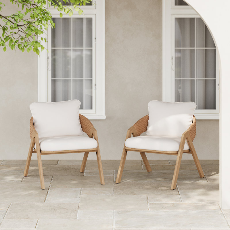 Ensemble de chaises de patio pour l'extérieur avec coussins moelleux (2 pièces)