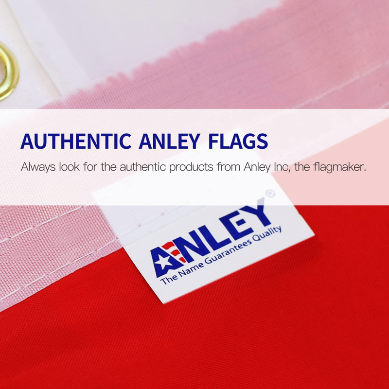 Drapeau intérieur omisexuel en polyester 36 x 60 po Pride