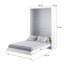 Crinium Daybed-23170732-23170734