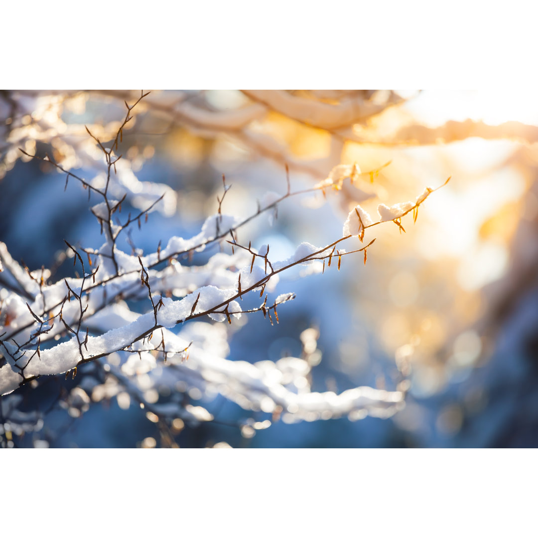 Schnee auf dem Ast und Sonnenuntergang von Konradlew - Ohne Rahmen auf Leinwand