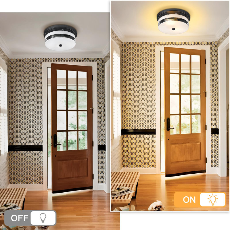 Flush Mount Ceiling Light with Frosted Glass Shade