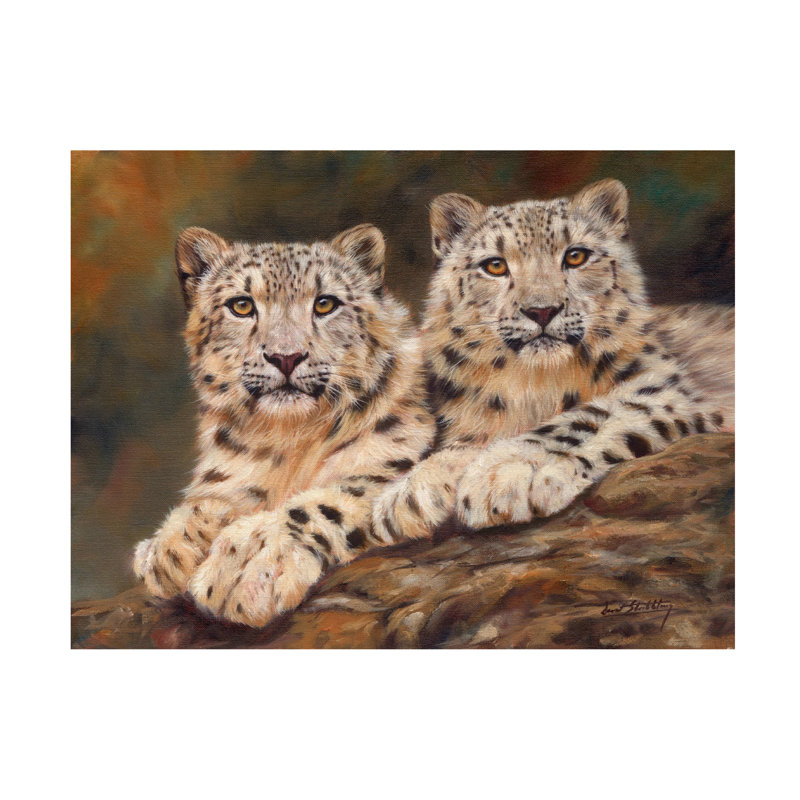 «David Stribble Snow Leopards Cub Cuddle», art, H 14 po x l 19 po