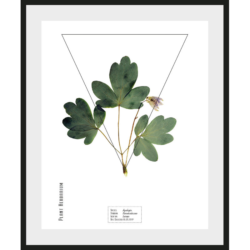 Plant - Single Picture Frame Print