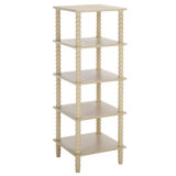 Dilyn 5 Tier Shelving Unit