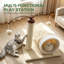 Centre d'activité d'intérieur pour arbre à chat avec poteau à griffes en sisal et jouets à pompons suspendus pour chat