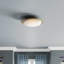 Oceanus 2 - Light 16.5" Semi Flush Mount-1941155070