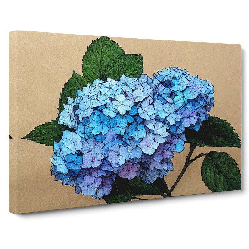 Sumptuous Hydrangea Flowers - Wrapped Canvas