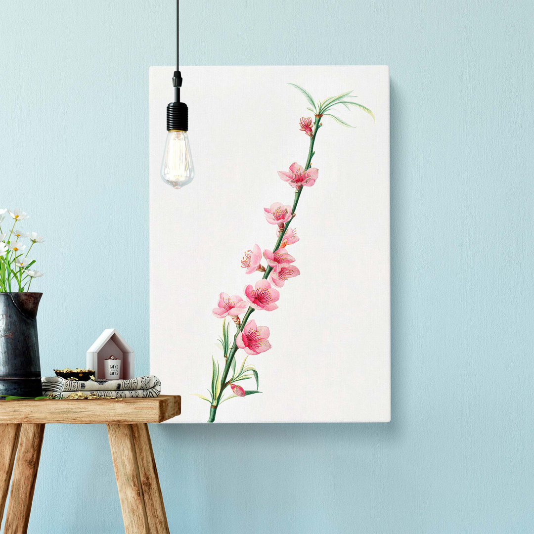 Peach Tree Blossoms by Giorgio Gallesio - Wrapped Canvas