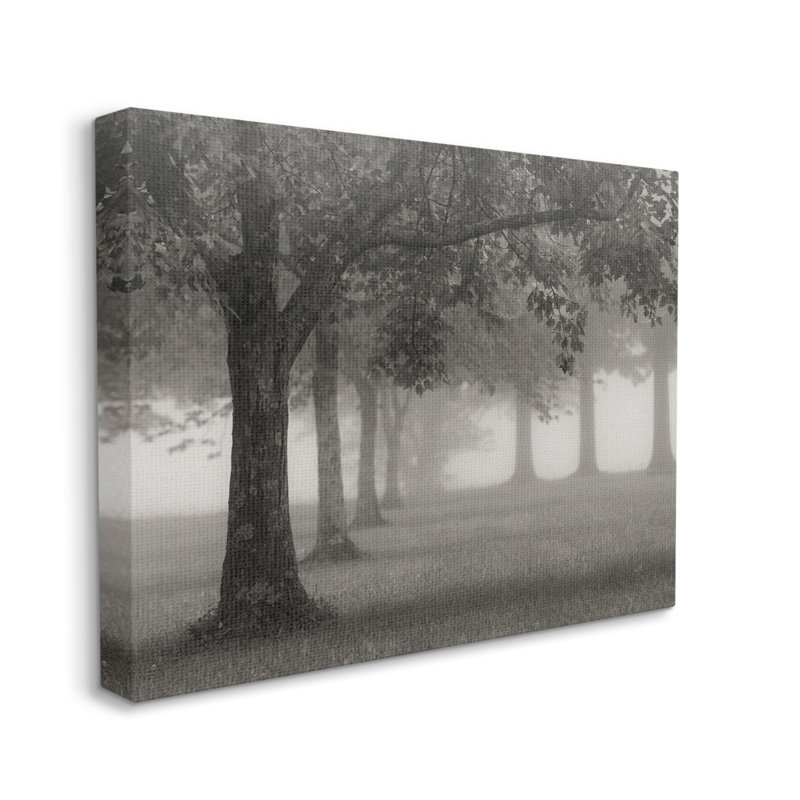 «Tranquil Foggy Trees Field Mon monochrome Design» par Nicholas Bell - photographie, H 16 po x l 20 po, Toile tendue