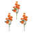 Orange sélectionné