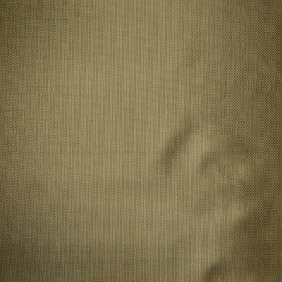 Tissu ursids