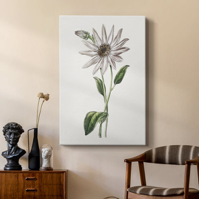 Tropical Botanical III - galerie Cavas sur mesure