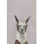 Flintridge «Cheeky Smart Llama», reproduction sur toile tendue-1464078115