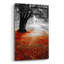 «Autumn Contrast» par Photoinc Studio, art mural en verre acrylique, 12 po x 16 po-961422030