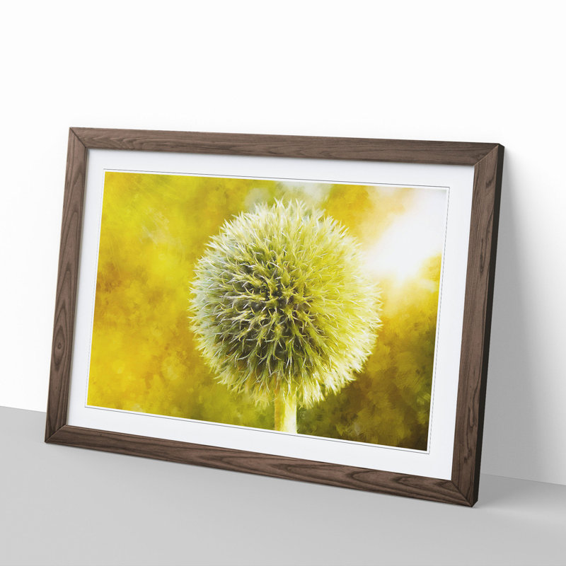 Thistle Flower Vol.2 - Picture Frame Graphic Art, Walnut, 27cm H x 36cm W x 2cm D