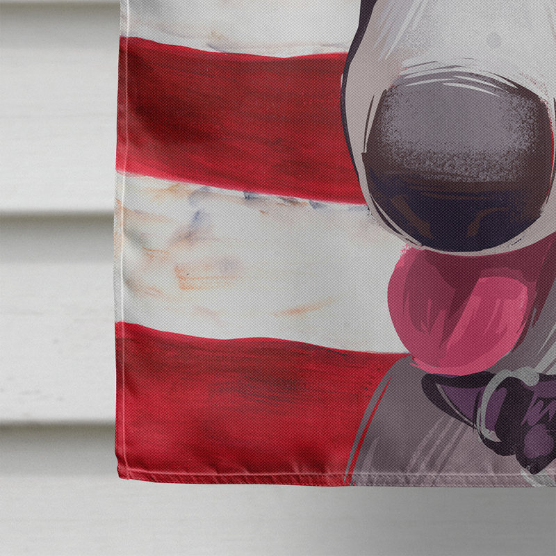 Polyester à 2 côtés 28 x 40 po drapeau maison, Lévrier polonais