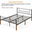 Delaenie Metal Platform Bed-471997039-534920298