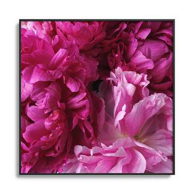 " Glamour Pink Peonies "