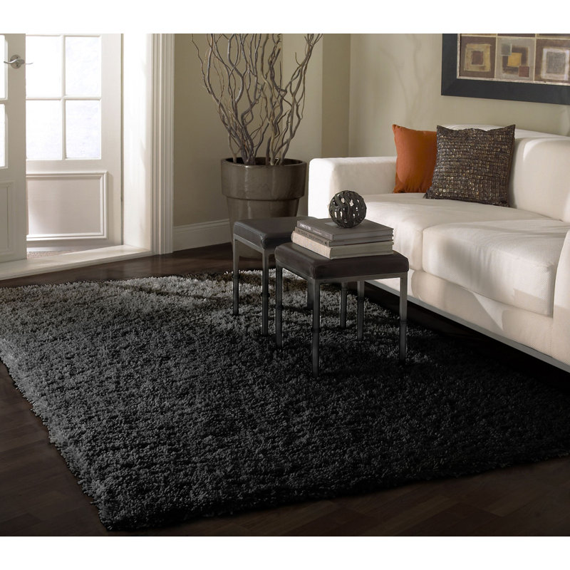 Indoor Rug, 4' x 6'