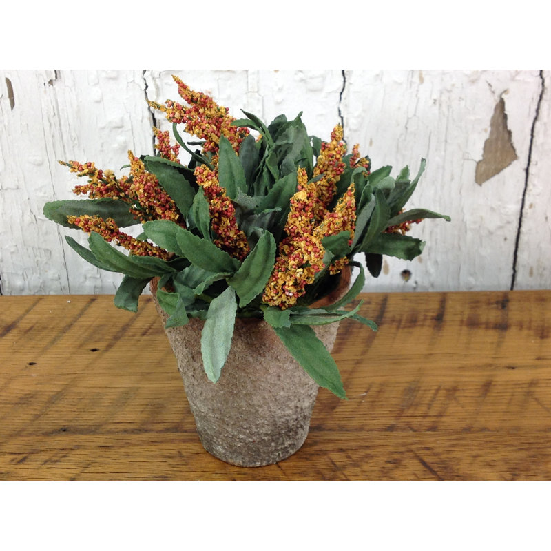 Arrangement floral orange en pot amaranthus