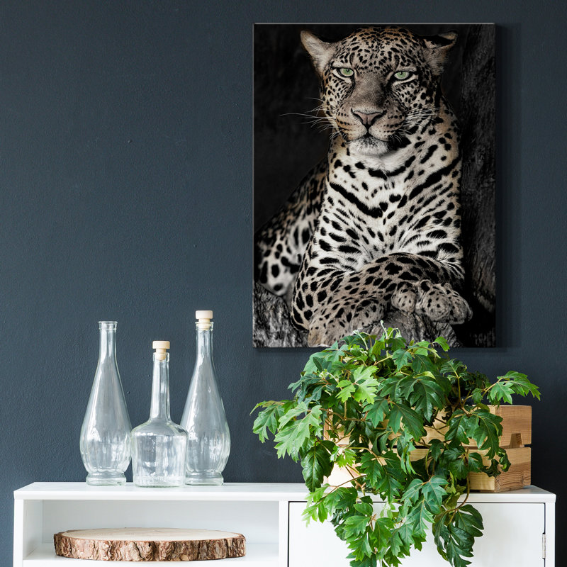 «African Leopard» par Danita Delimont - reproduction de photo sur toile tendue, H 48 po x l 36 po x P 1 po