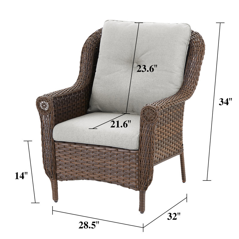 Habbe Outdoor Wicker Patio Chairs Set Of 2 With Olefin Cushions Weather-Resistant, Beige
