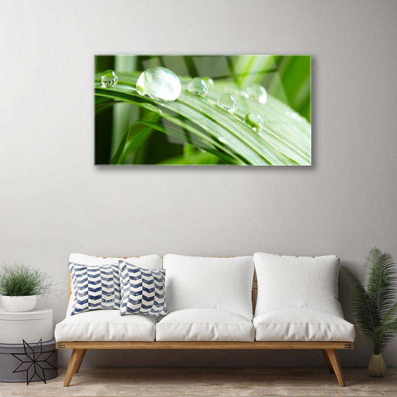 Glass Print Wall Art 100X50cm Image Printed On Glass Decorative Wall Picture Behind Toughened / Tempered Safety Real Glass For Kitchen & Living Room Theme: Leaf Dew Drops Floral