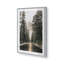 «Woodland Journey», dans un cadre,-773870768-773870791