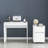 Desk and Storage Cabinet with 1 Drawer and 1 Door,  White