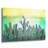 " Cactus " by Mark Ashkenazi-462991414