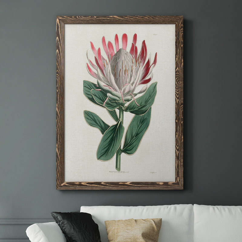 Protea N13 - Peinture sur toile encadrée, Encadré de bois de noyer, H 44 po x l 31 po x P 1 po