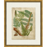 Crackled Fern Cluster II Painting