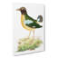 Green Crow by George Shaw - Wrapped Canvas Painting-55304064