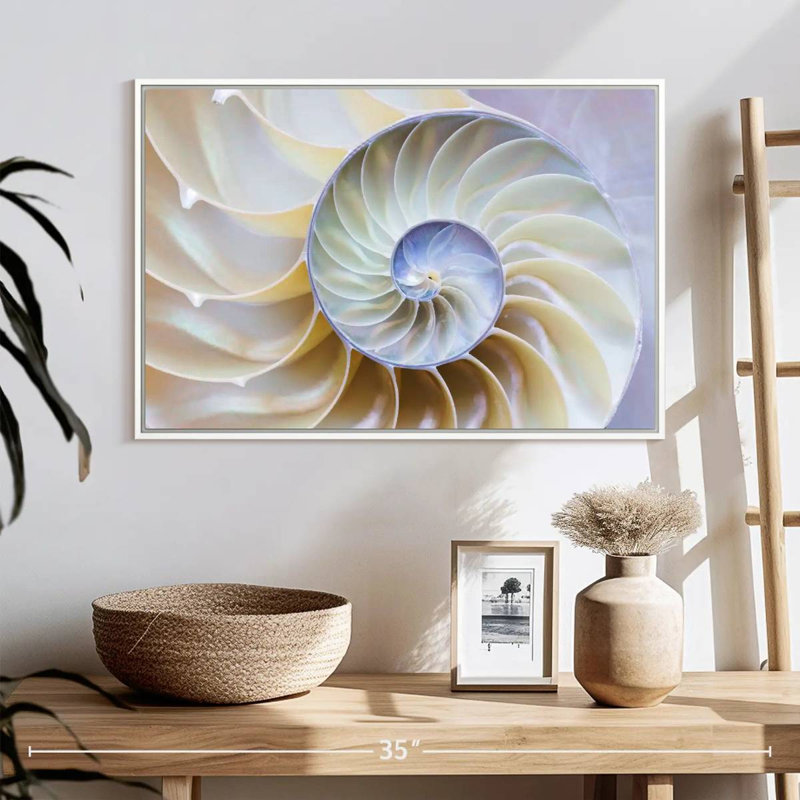 Coquille Nautilus vide, 40 po x 27 po, Cadre flottant noir